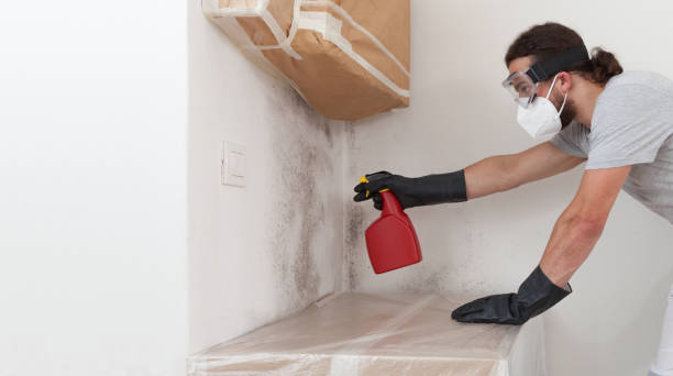 Professional Bathroom Mold Removal technician working in Flint Hill, VA
