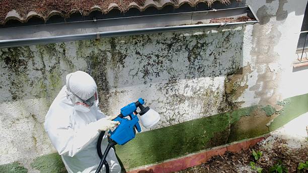 Top rated local Bathroom Mold Removal specialists in Flint Hill, VA